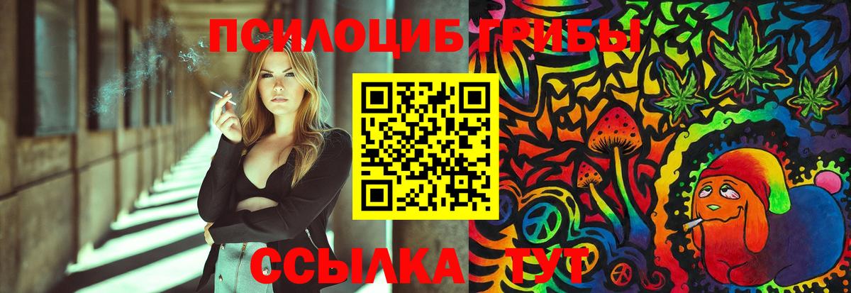 где купить   Галлюциногенные грибы MAGIC MUSHROOMS  Вход с VPN  Омск  Псилоцибиновые грибы мицелий 