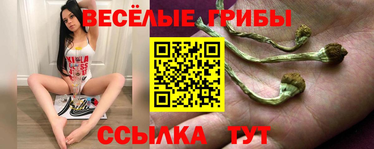 Галлюциногенные грибы мицелий Омск